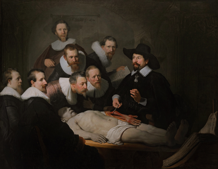 The Anatomy Lesson of Dr Tulp (mk33)